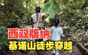 【版納專線】4680元：西雙版納+雨林徒步，18人深度五日游