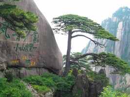 【4.1-4发团】880元：大美黄山、宏村、天湖欢乐谷，纯玩三日游