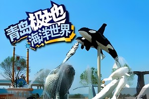 【10.1-4發(fā)團(tuán)】410元：青島極地海洋世界+金沙灘+小麥島，純玩二日游