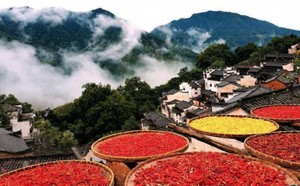 【周五发团】680元：三清山+篁岭晒秋+夜游望仙谷，纯玩3日游