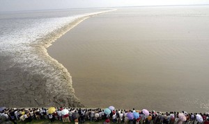 【11.7发团】380元：南浔、西塘、蒋氏故居、雪窦山、钱塘江观潮，纯玩三日游