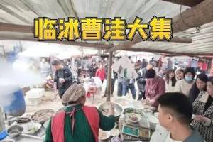 【11.18/23出发】88元：临沭曹洼大集，纯玩一日游