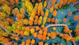 【周六出發】280元：滁州瑯琊山、醉翁亭、水上紅杉林、吳敬梓紀念館，純玩二日游