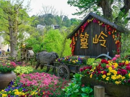 【3.27/4.1-4发团】680元：篁岭梯田花海、九龙瀑、秀里，纯玩三日游