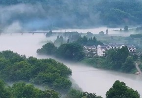 【周二/四/六发团】特价298元：桃花潭+查济古镇+月亮湾+宣纸文化园，皖南二日游