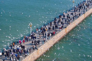 【5.2、5.4发团】550元：青岛+崂山+五四广场+栈桥喂海鸥，纯玩二日游