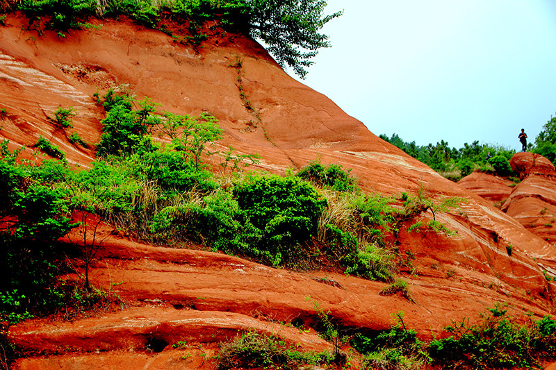 _MG_0080.jpg _MG_0080.jpg