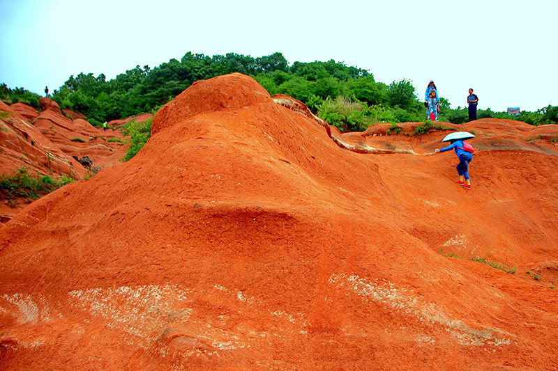 _MG_0081.jpg _MG_0081.jpg