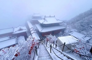 【周六發團】550元：老君山+追夢谷，純玩二日游