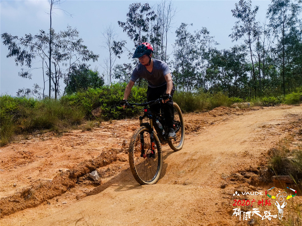 IMG_20200906_114559_1