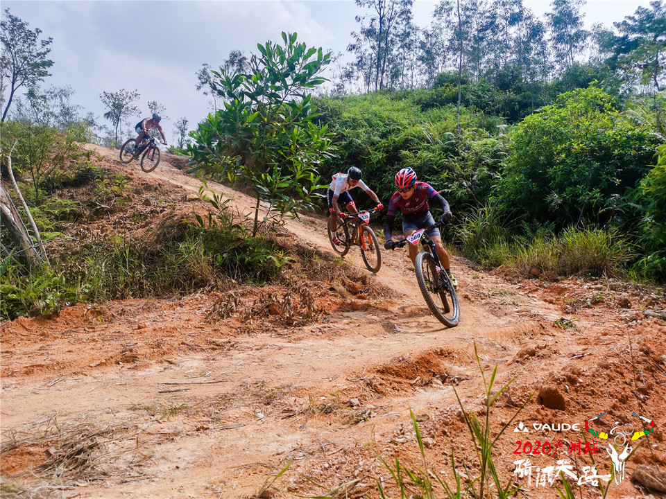 IMG_20200906_140334_1