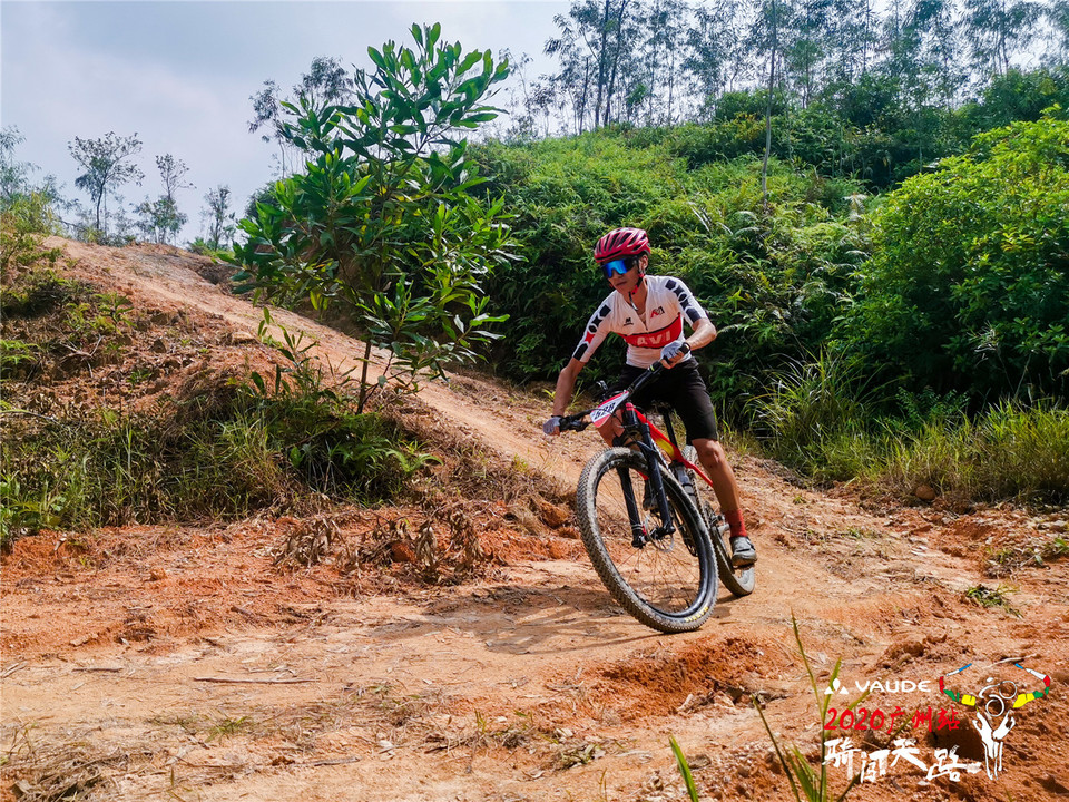 IMG_20200906_140417_1