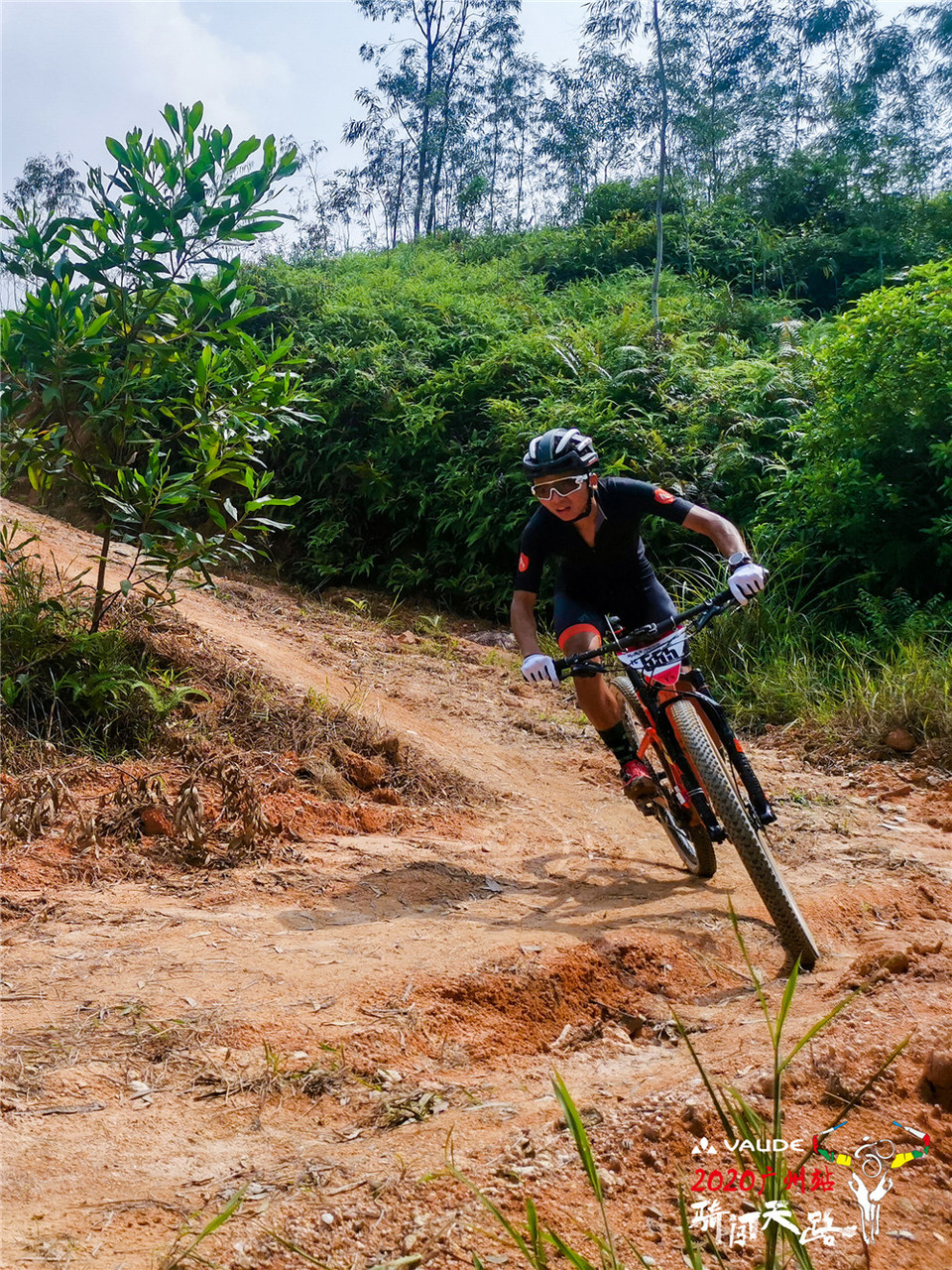 IMG_20200906_140432_1