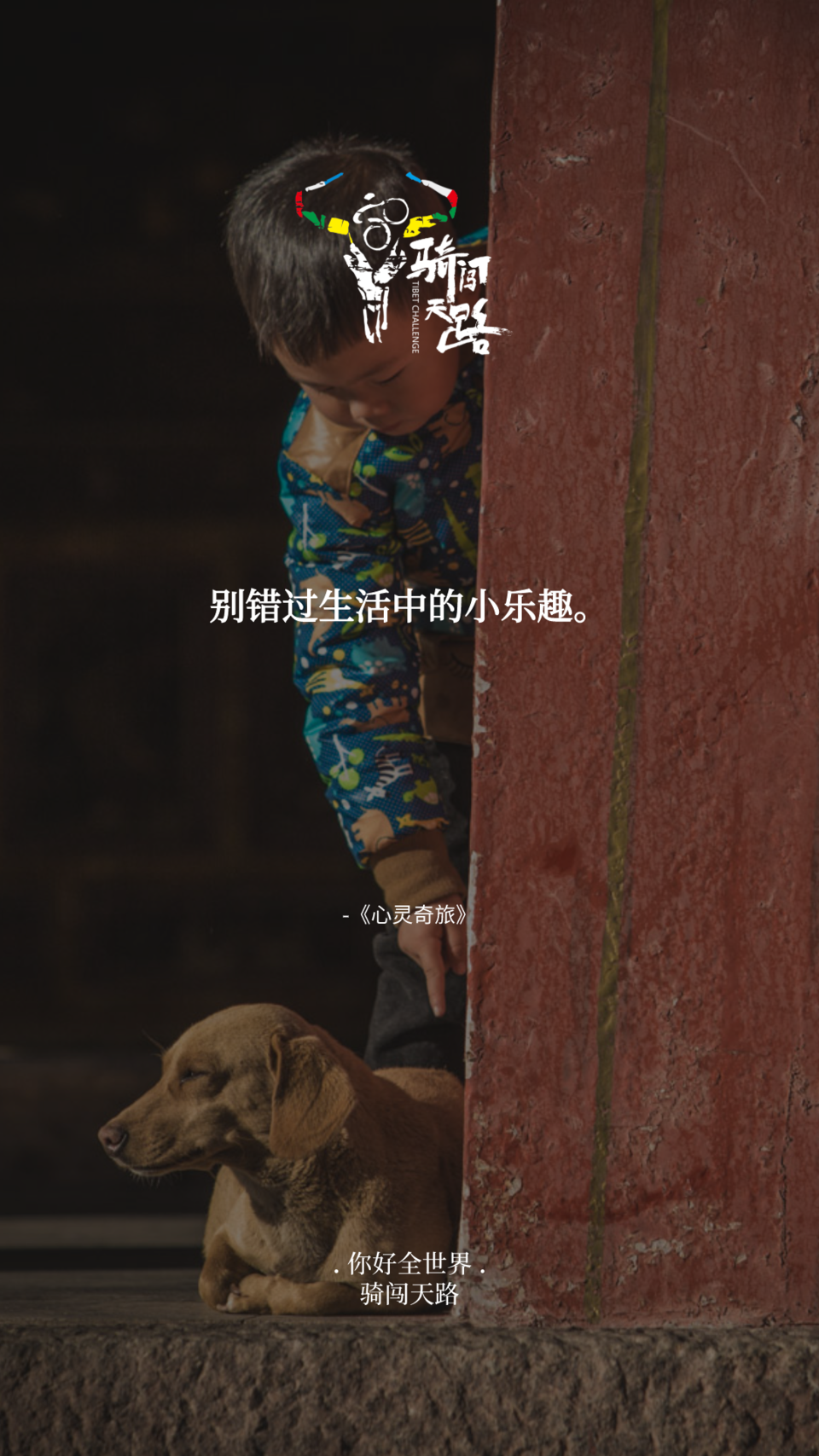 【日签】骑闯035