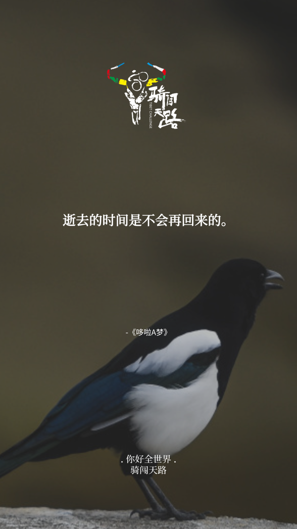 【日签】骑闯089