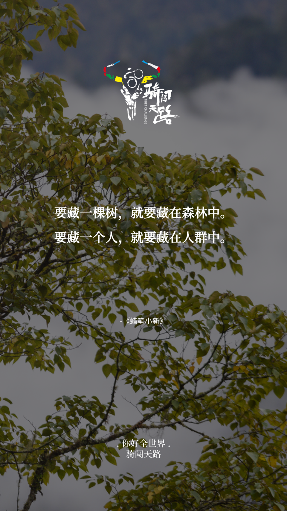 【日签】骑闯203