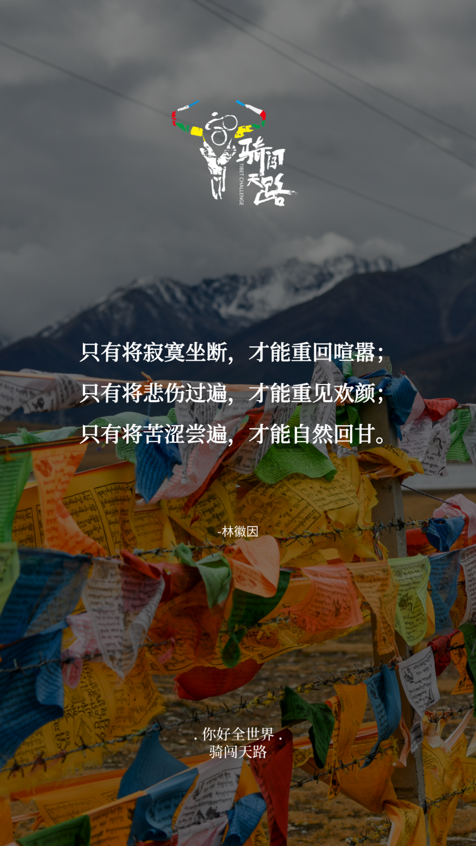 【日签】骑闯245