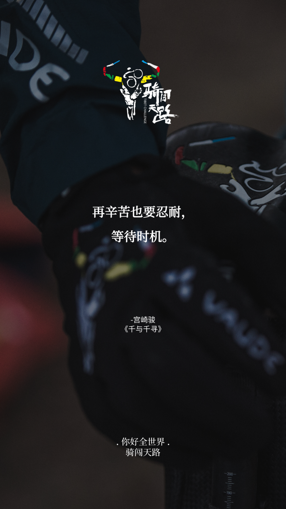 【日签】骑闯288