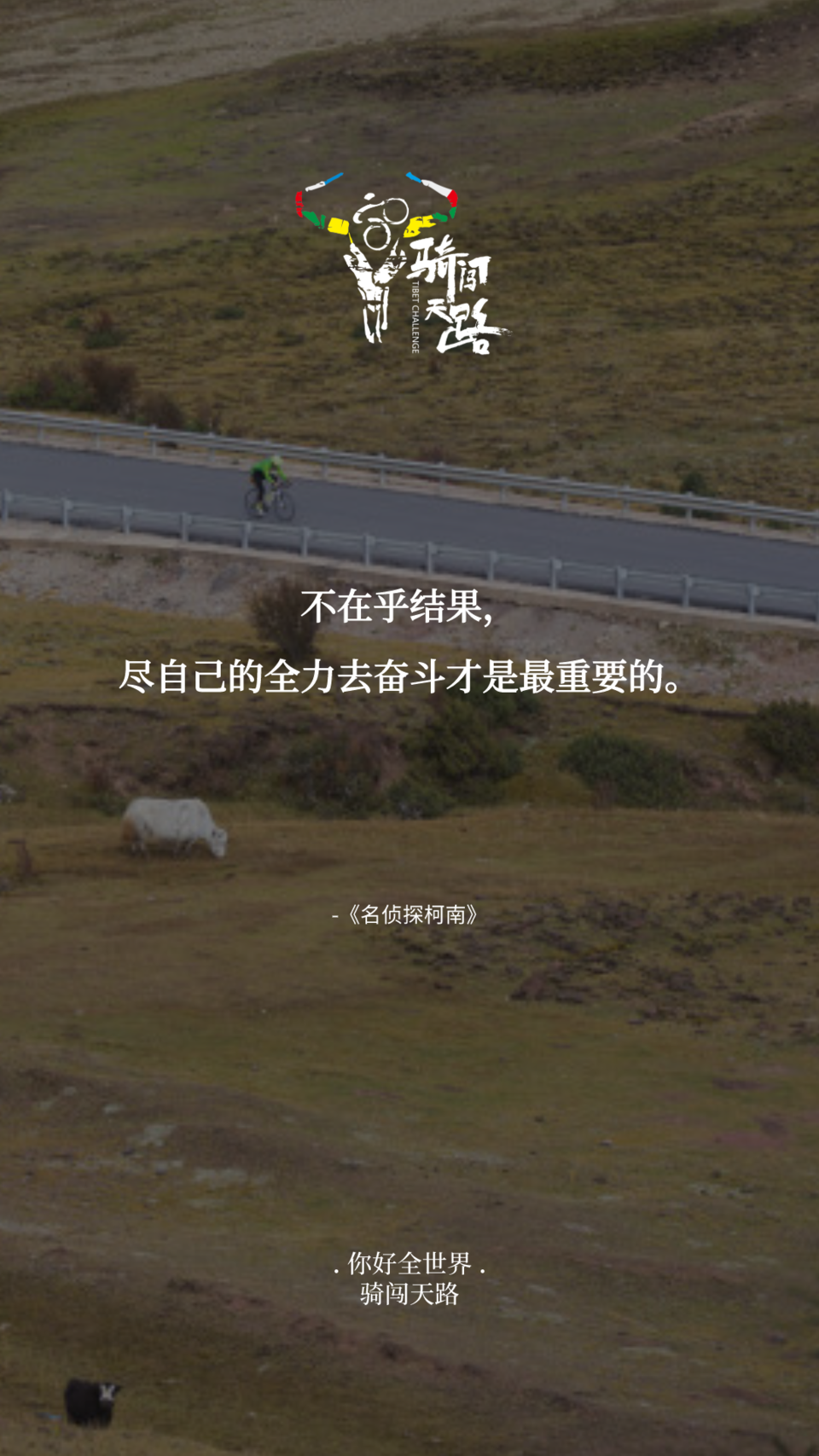 【日签】骑闯310