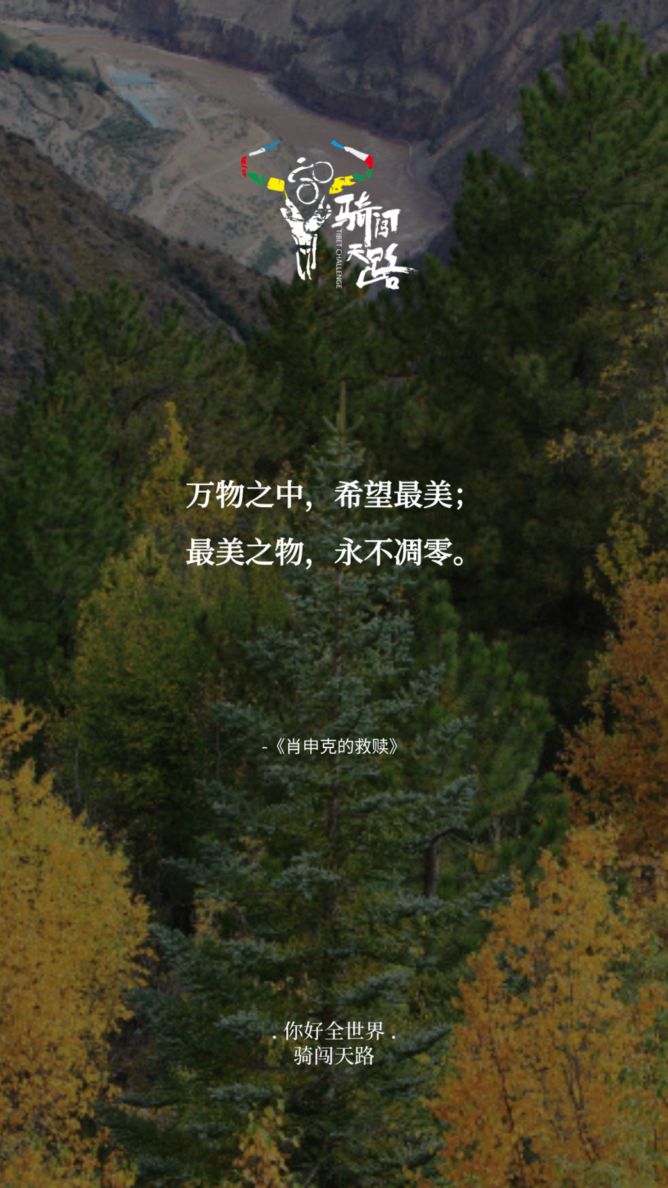 【日签】骑闯333