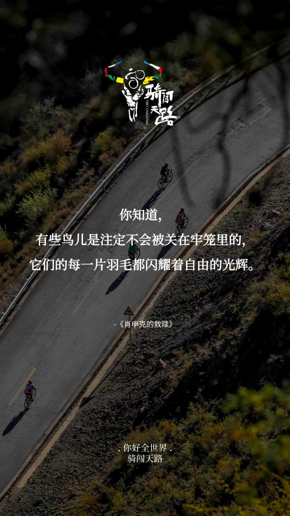 【日签】骑闯381