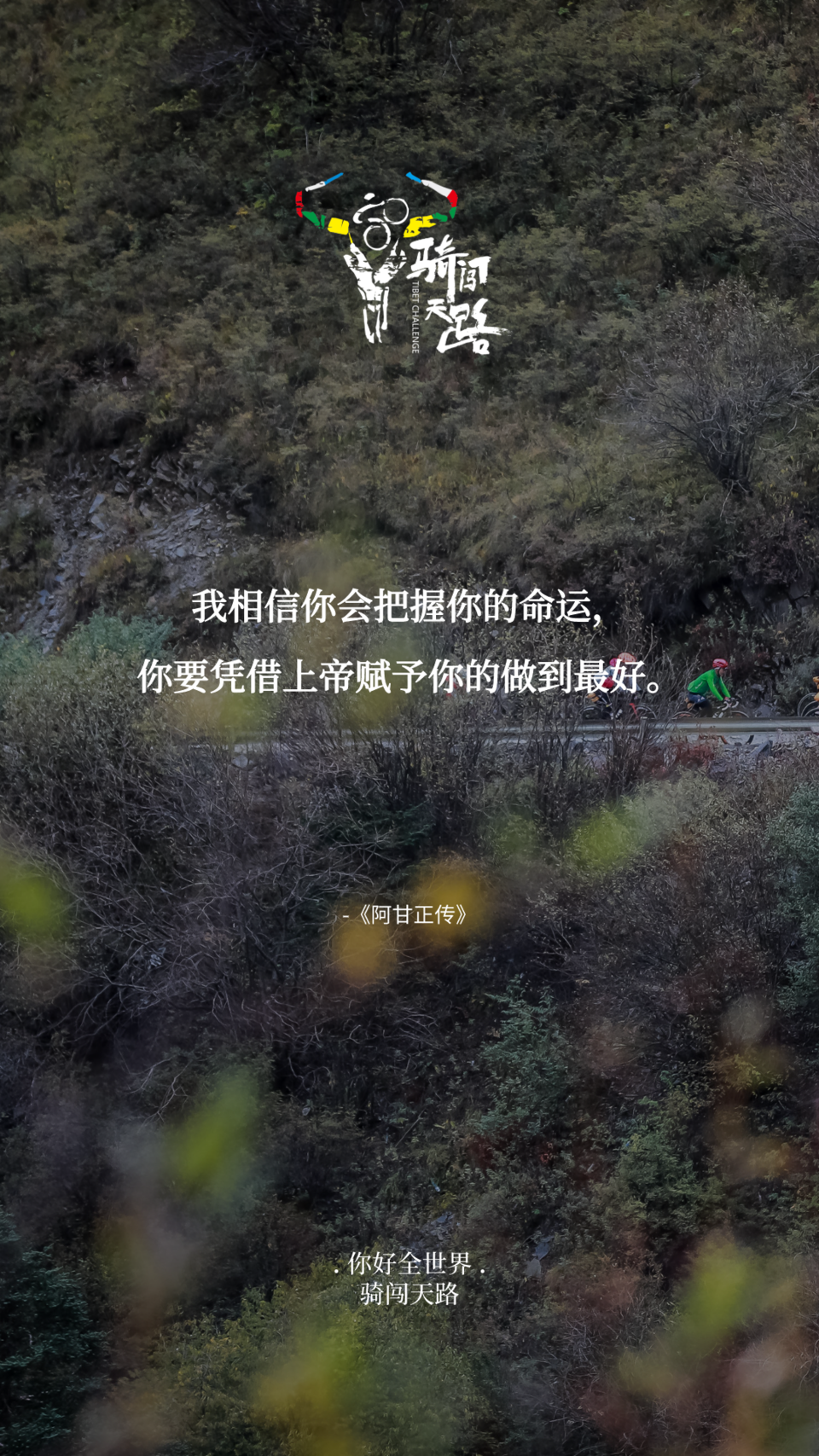 【日签】骑闯419