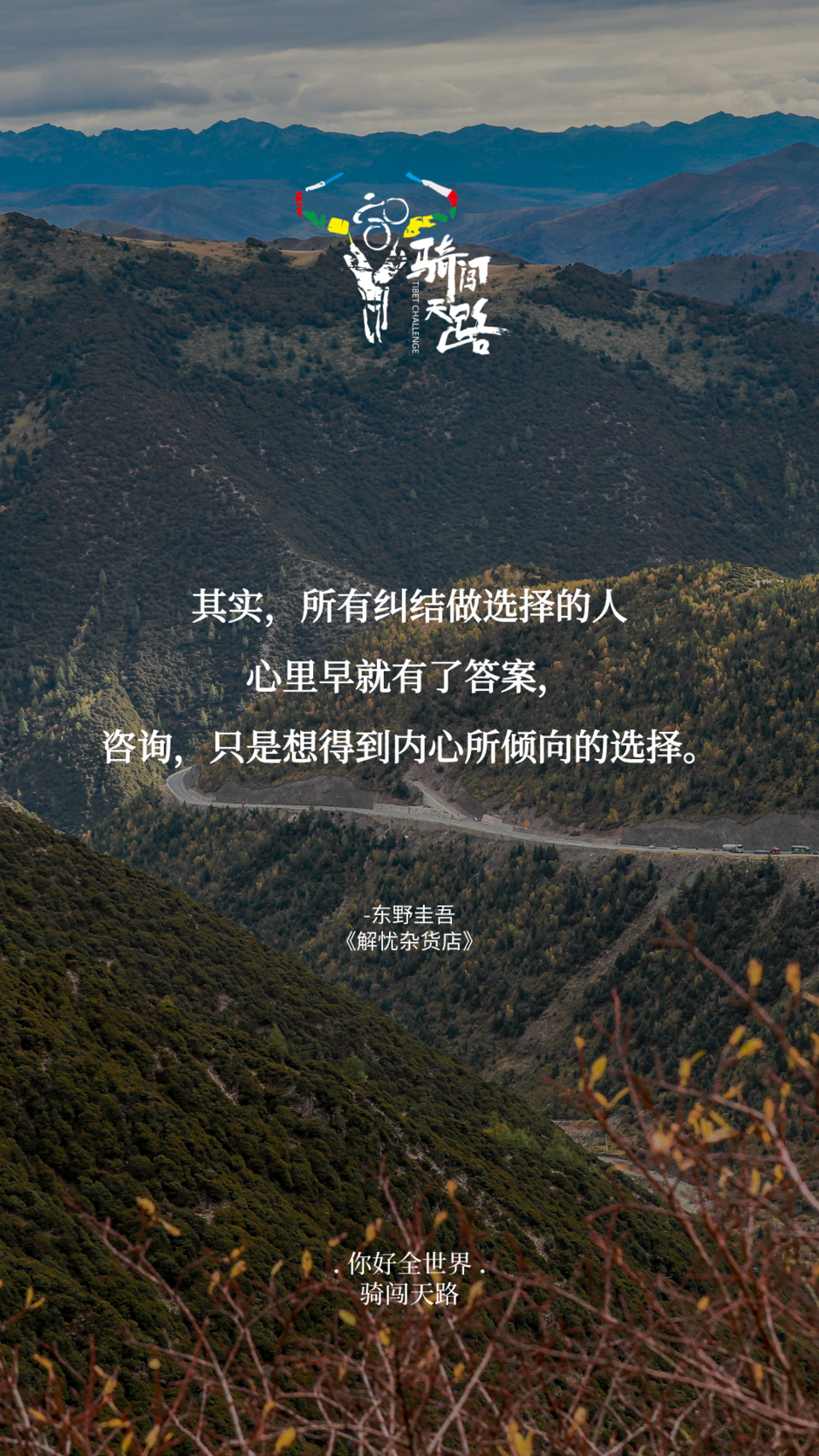 【日签】骑闯420