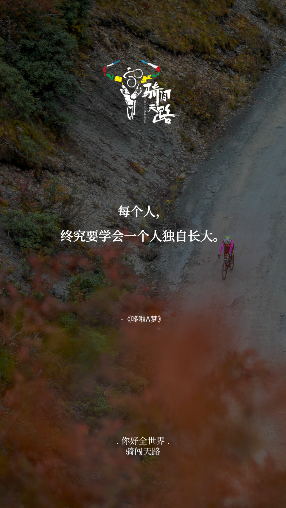 【日签】骑闯424