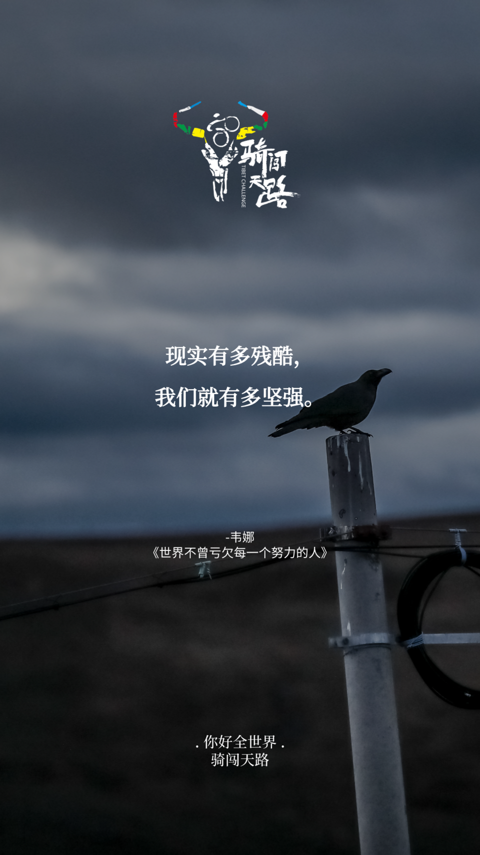 【日签】骑闯429