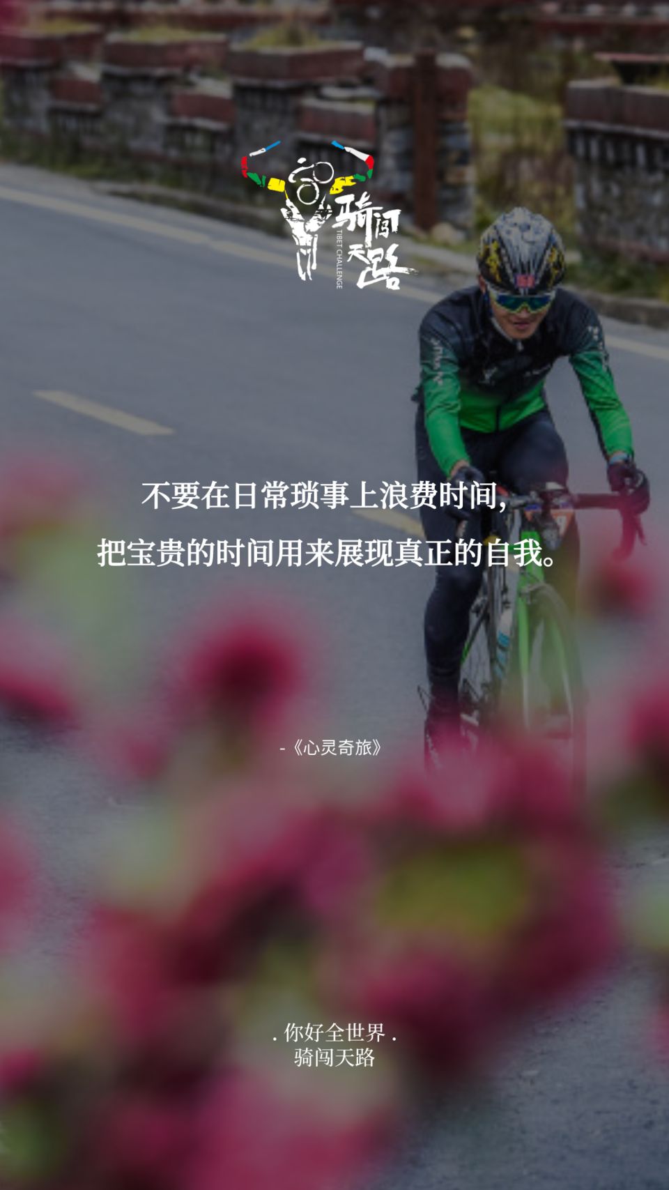 【日签】骑闯522