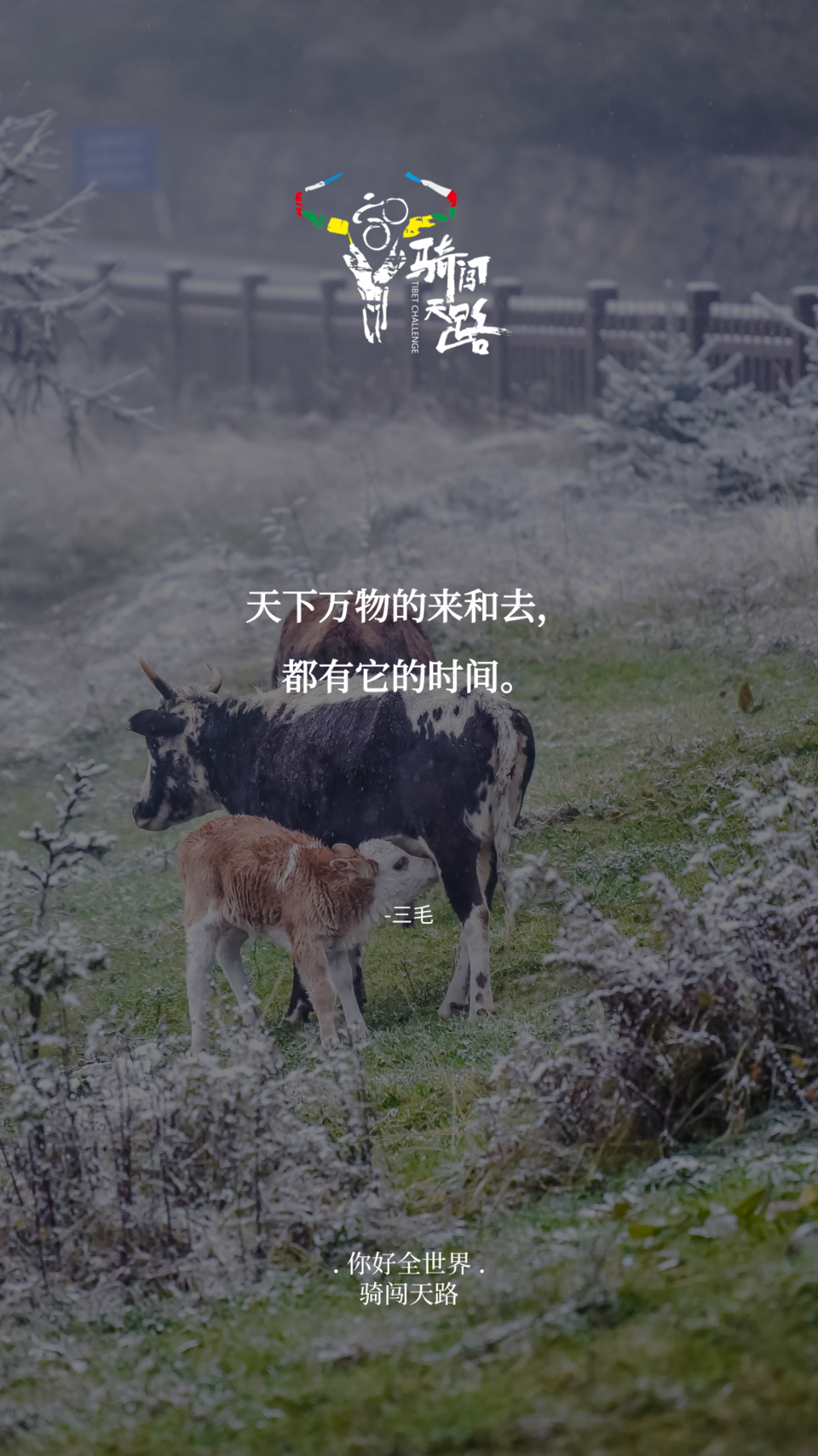 【日签】骑闯523