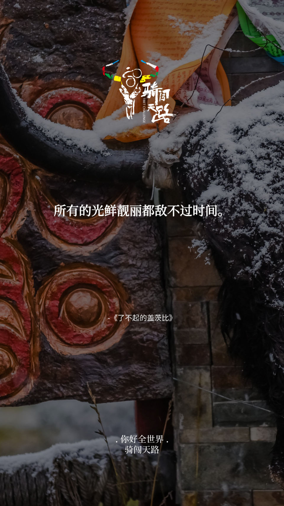 【日签】骑闯528