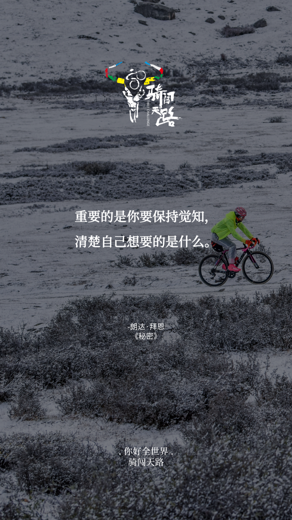 【日签】骑闯558