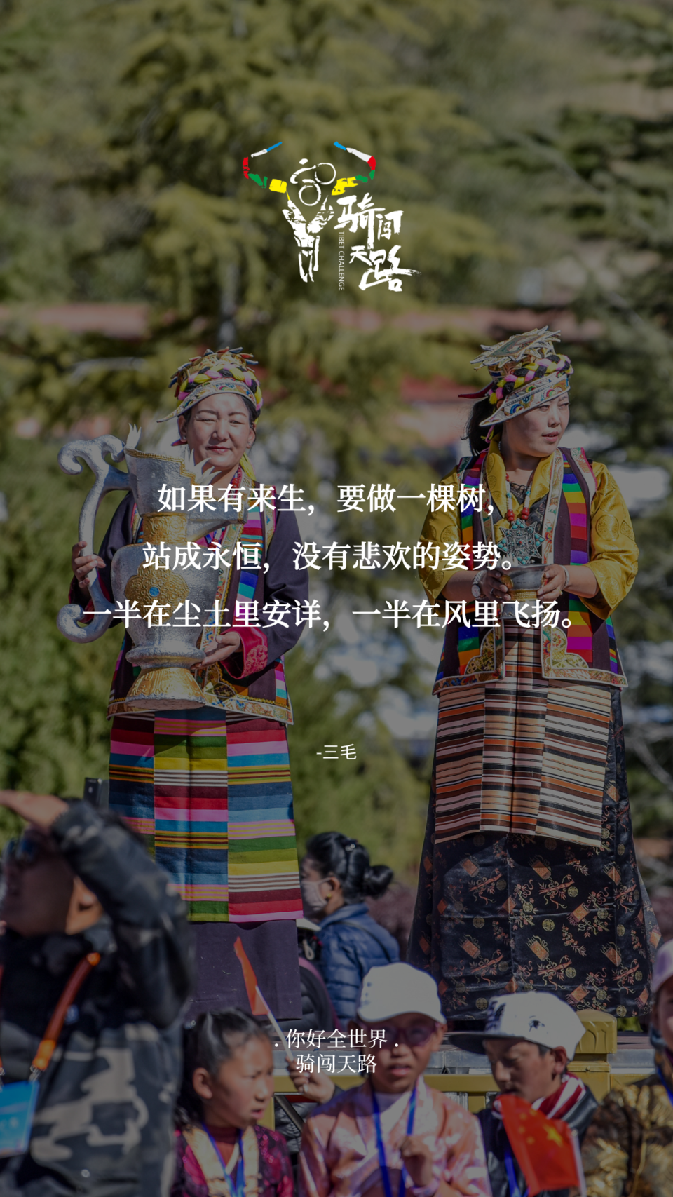 【日签】骑闯598