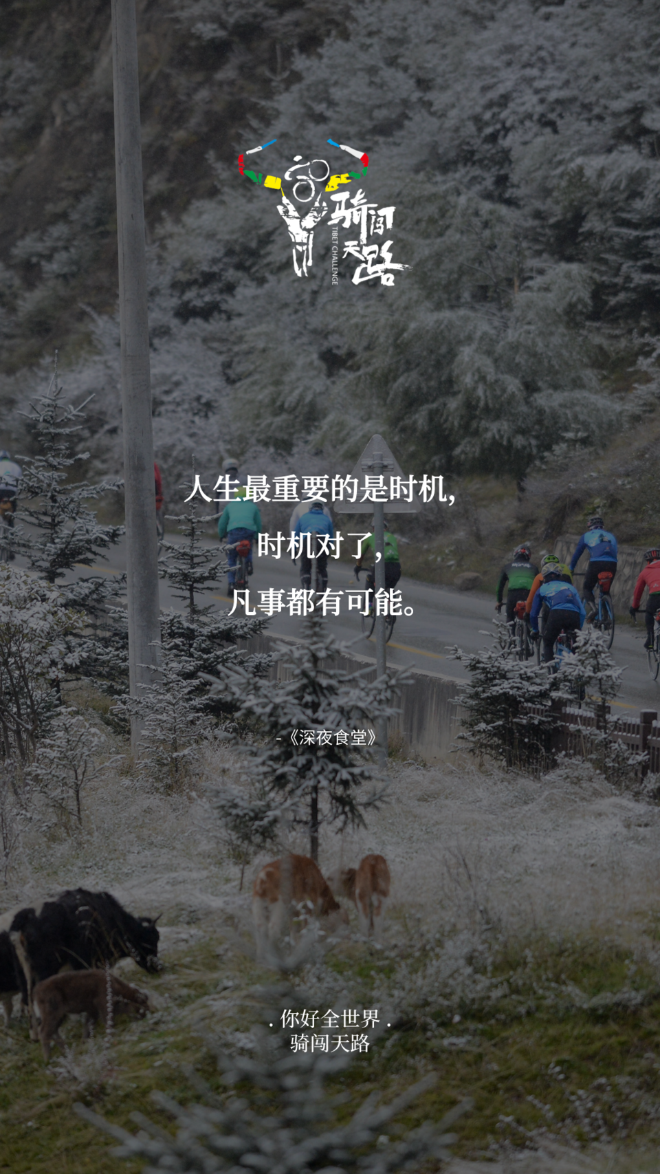 【日签】骑闯600