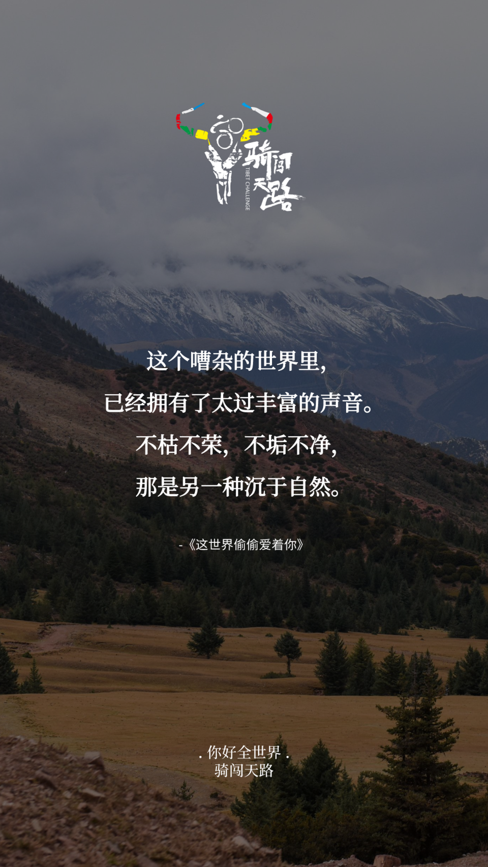 【日签】骑闯621