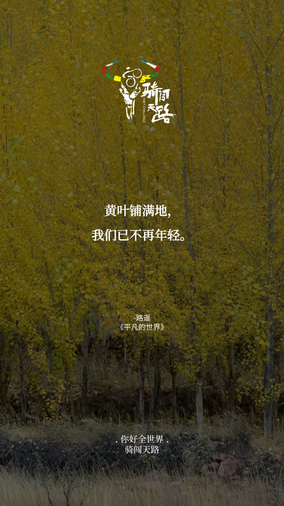 【日签】骑闯623