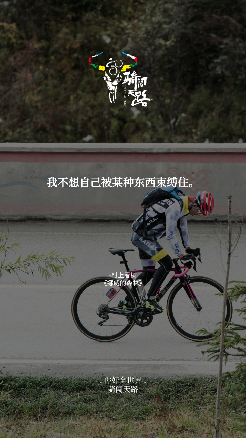 【日签】骑闯660