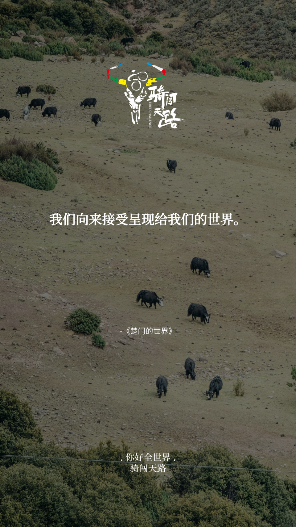 【日签】骑闯678