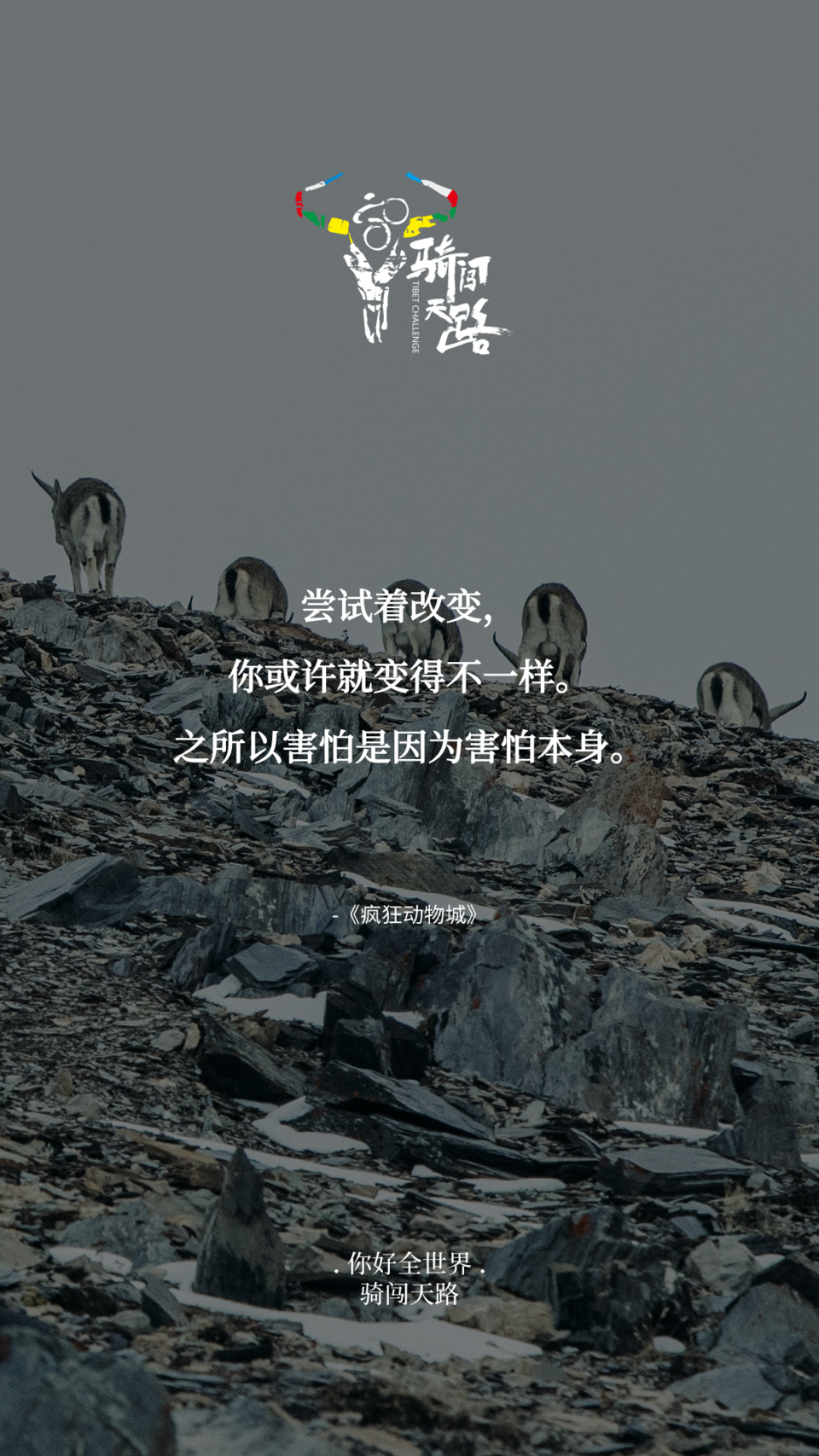 【日签】骑闯680