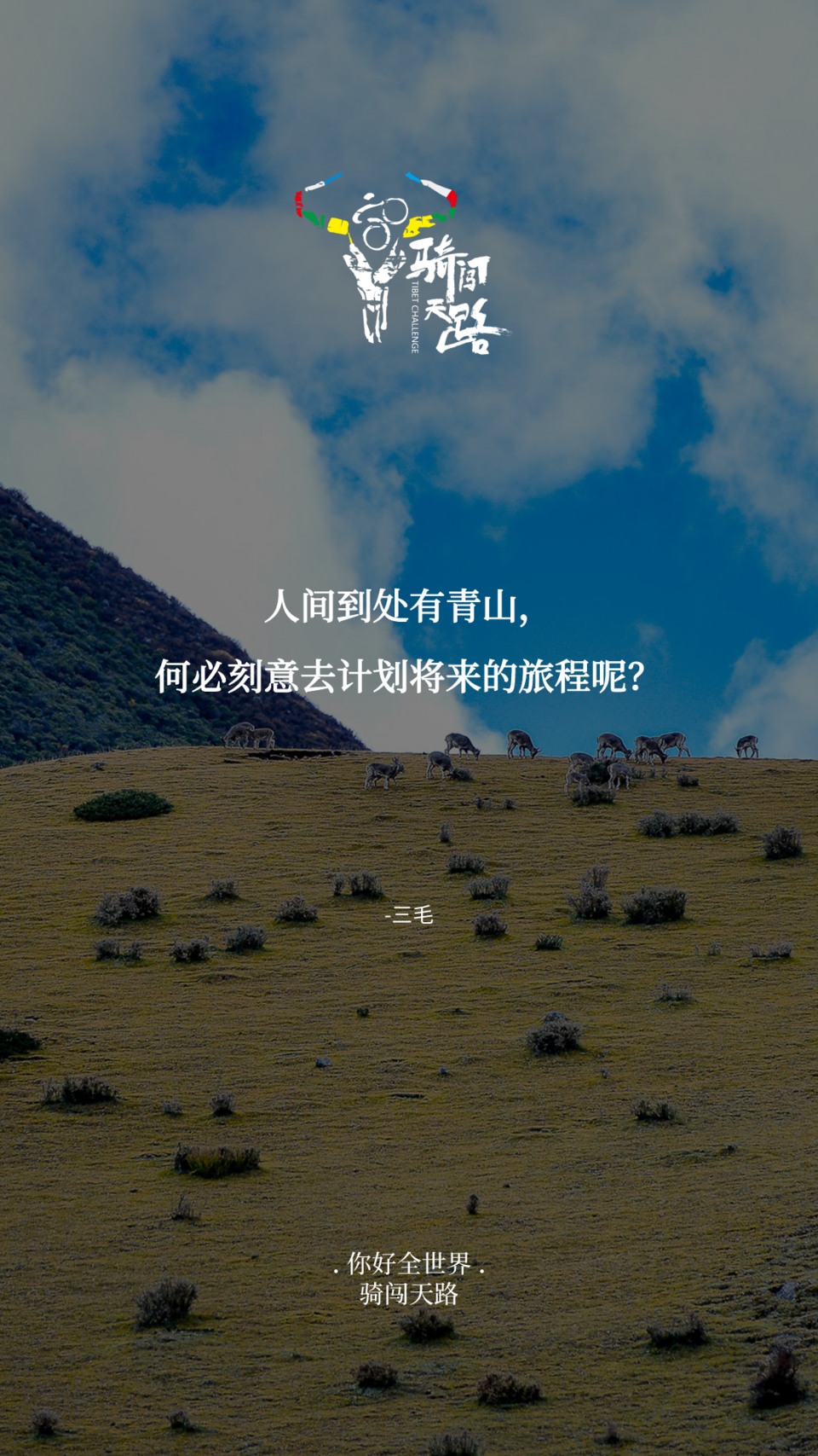 【日签】骑闯715