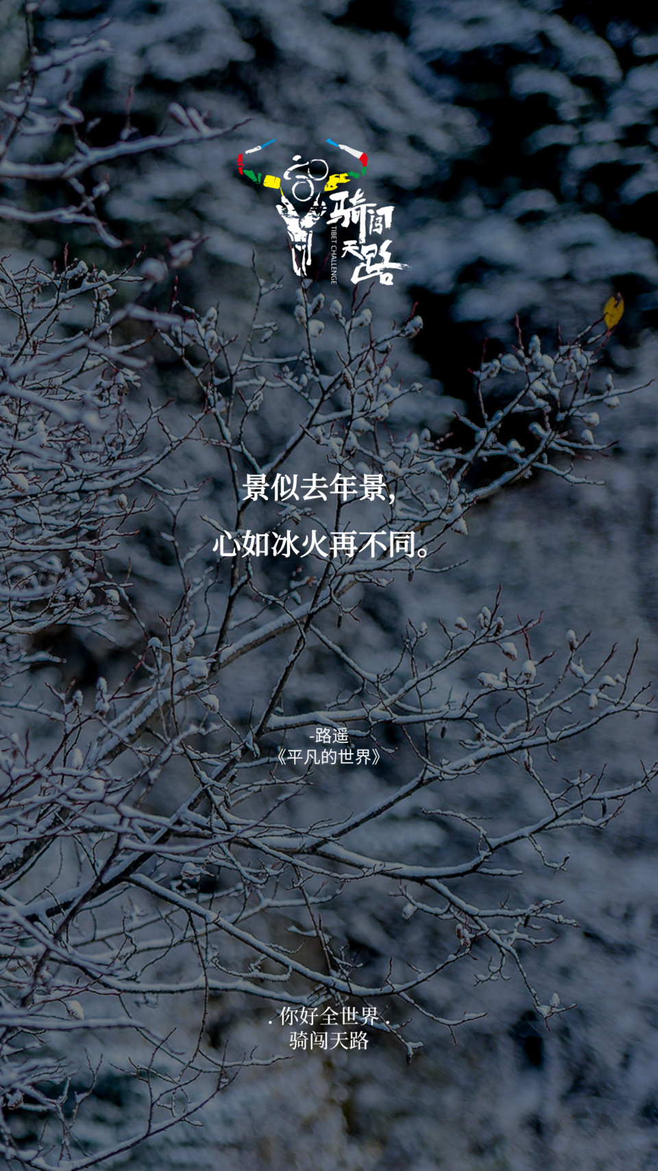 【日签】骑闯736