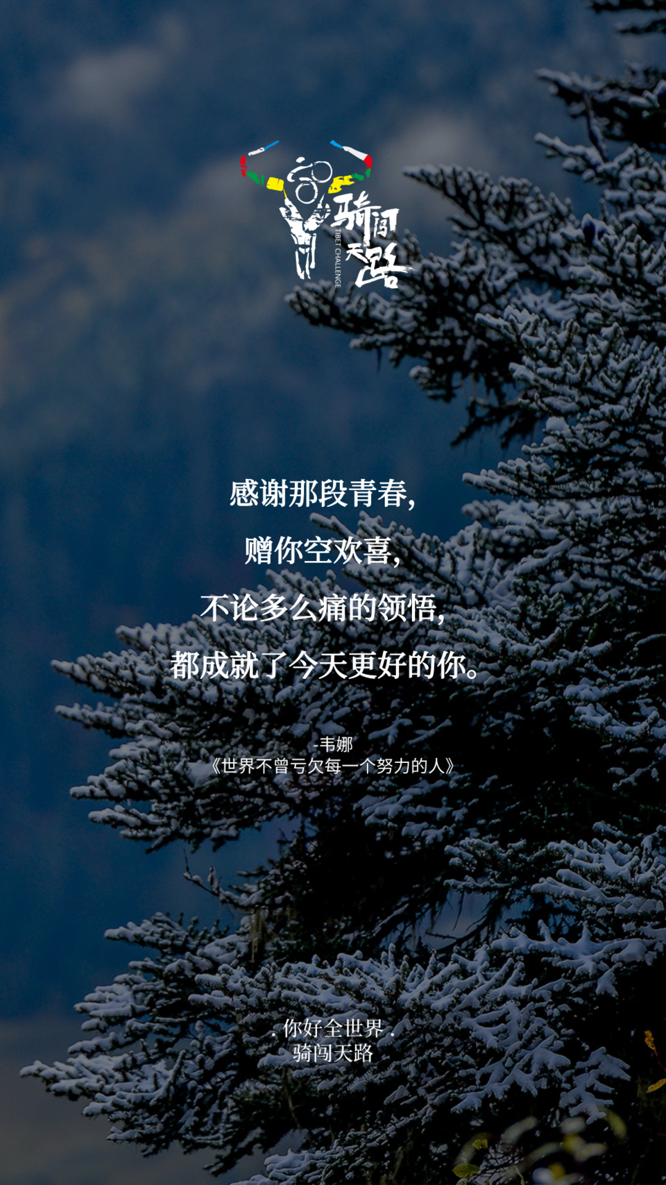 【日签】骑闯737