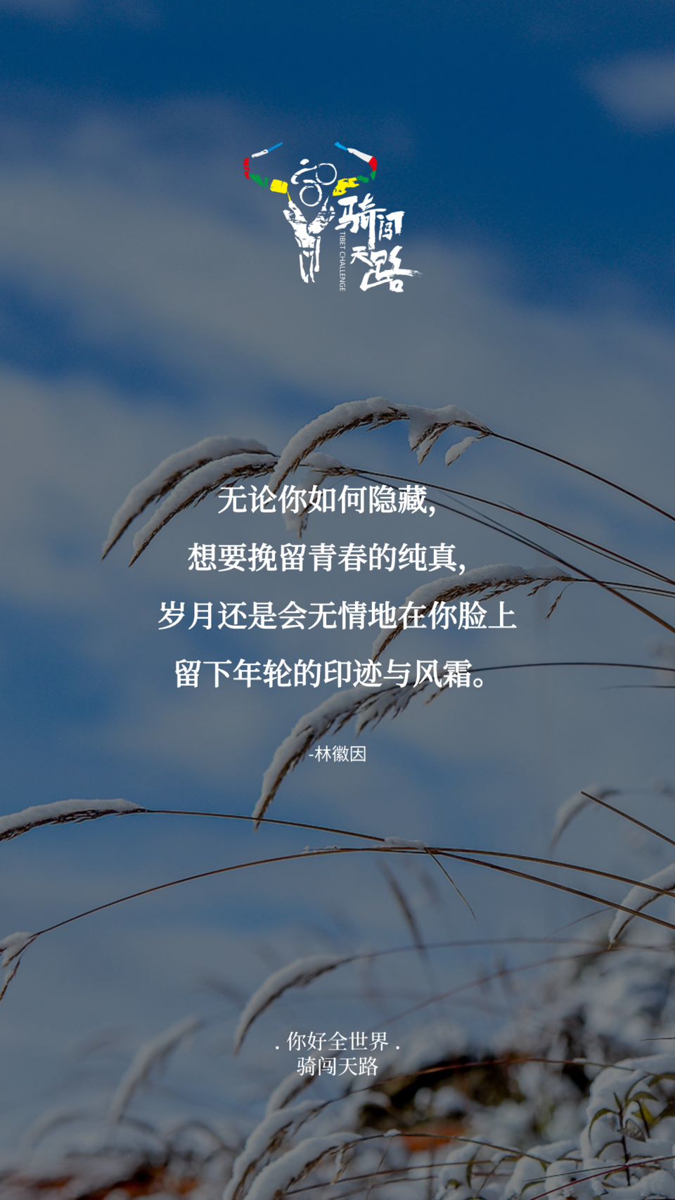 【日签】骑闯742