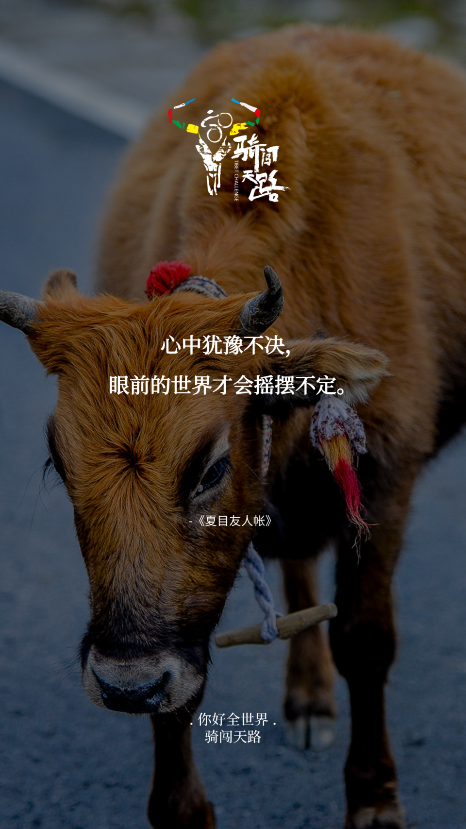 【日签】骑闯745