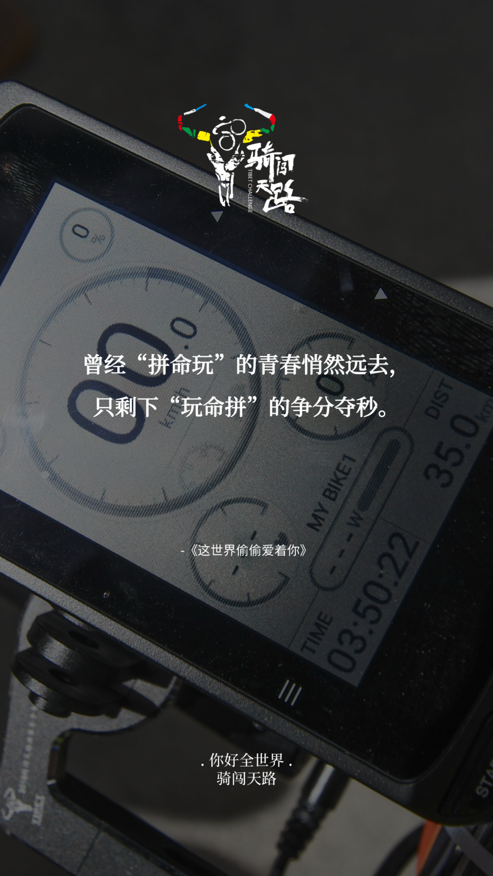 【日签】骑闯773