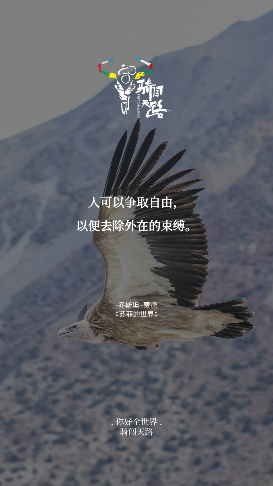 【日签】骑闯779