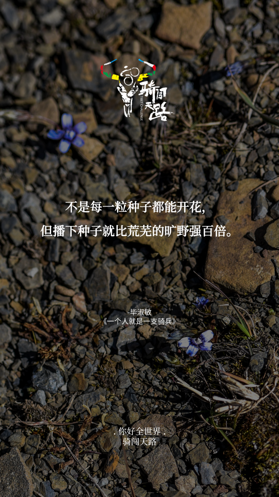 【日签】骑闯799