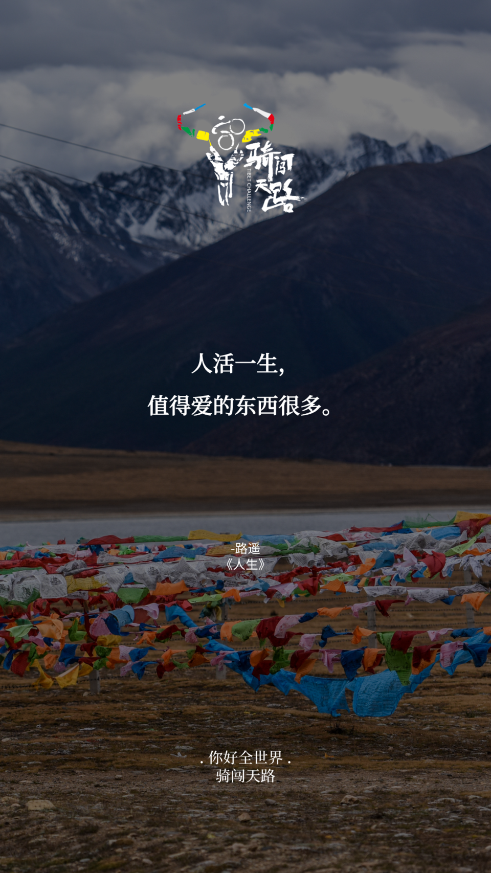 【日签】骑闯807