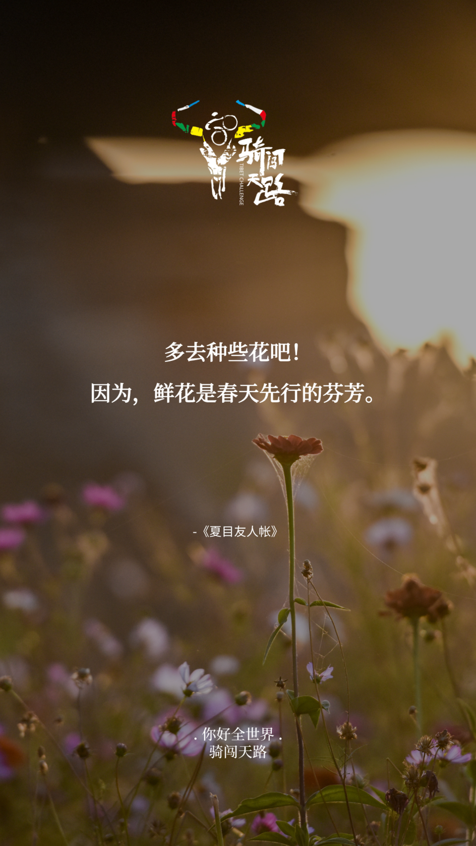 【日签】骑闯830